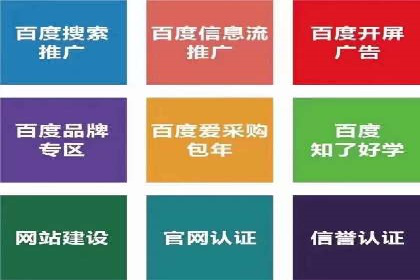 行业领先SEM服务公司案例研究